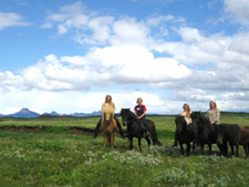 Iceland-Iceland Shorts-Geysir Gullfoss Hot Springs and Waterfalls